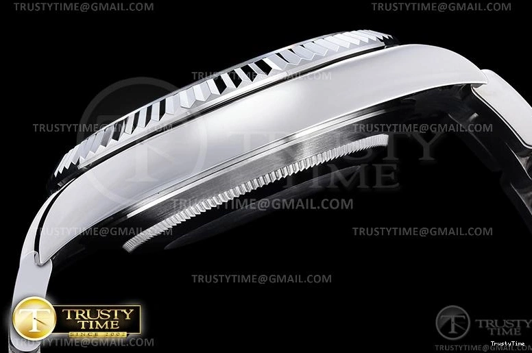 1218 FlexibleFit R2DJ0253G – DJ2 41mm 646